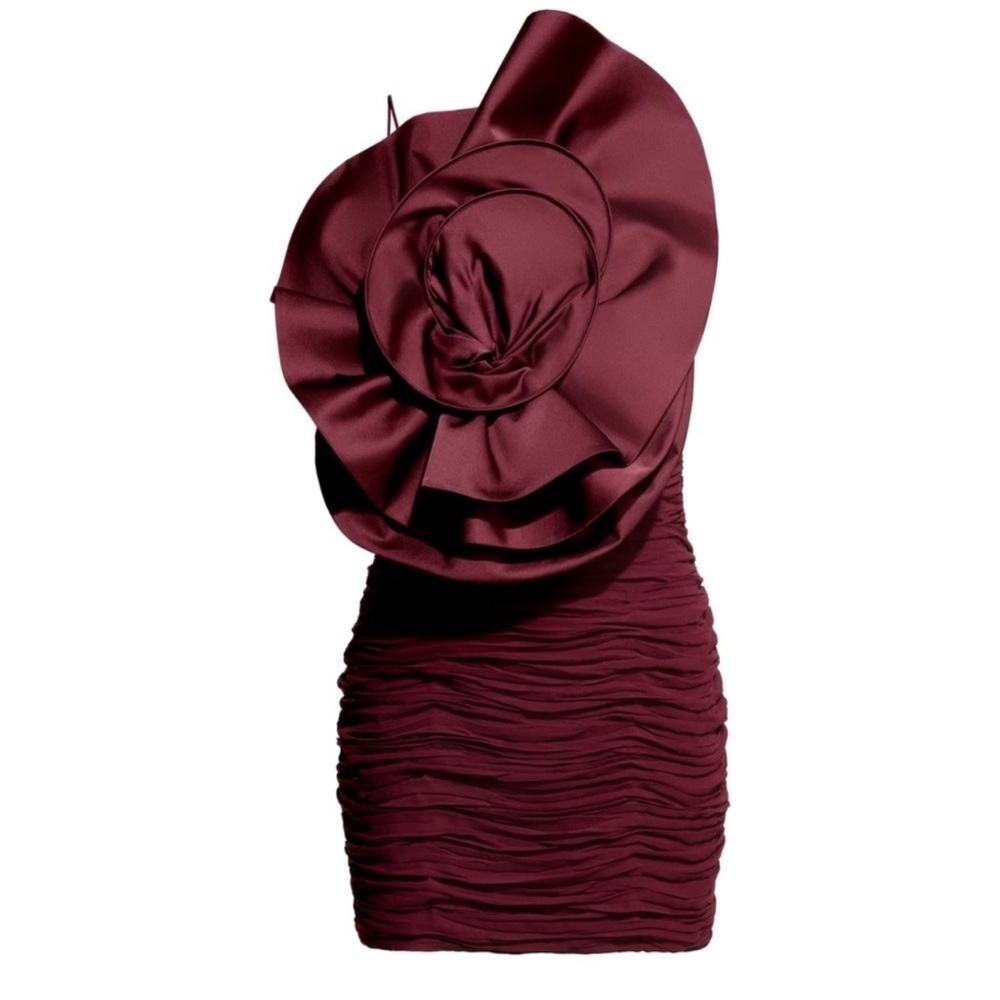 MAGDA BUTRYM X H&M ROSE APPLIQUÉ GATHERED DRESS in Burgundy - Picture 5 of 13